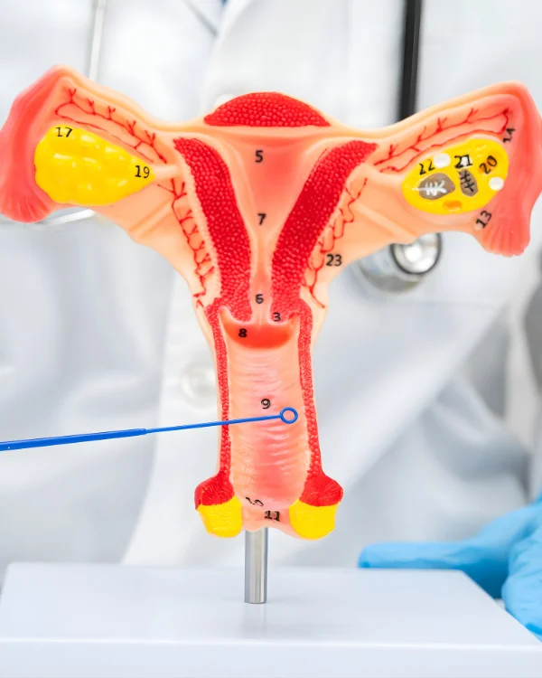 Best Pap smears & Cervical cancer screening – Dr. Prodduturu Padmaja